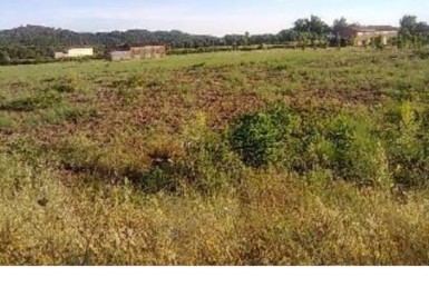 398 OPP Fincas Rústicas SurOeste 385x258 - Finca de regadío de 13.500 m2 en Villanueva de la Vera