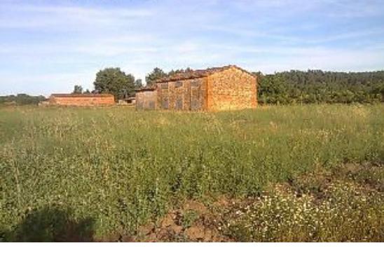 398 OPP Fincas Rústicas SurOeste 4 - Finca de regadío de 13.500 m2 en Villanueva de la Vera