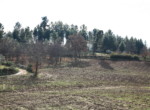 402 OPP, Fincas Rústicas SurOEste (2)