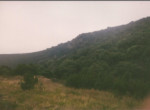 411 OPP, Fincas Rústicas SurOeste (2)