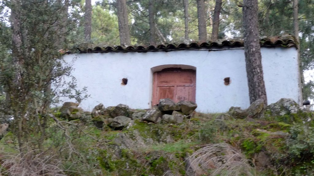 426 OPC Fincas Rústicas SurOeste 4 - Finca de recreo de 3,8 has muy cerca de Monesterio