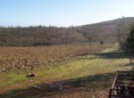 077 OPG, Fincas Rústicas SurOeste (3)