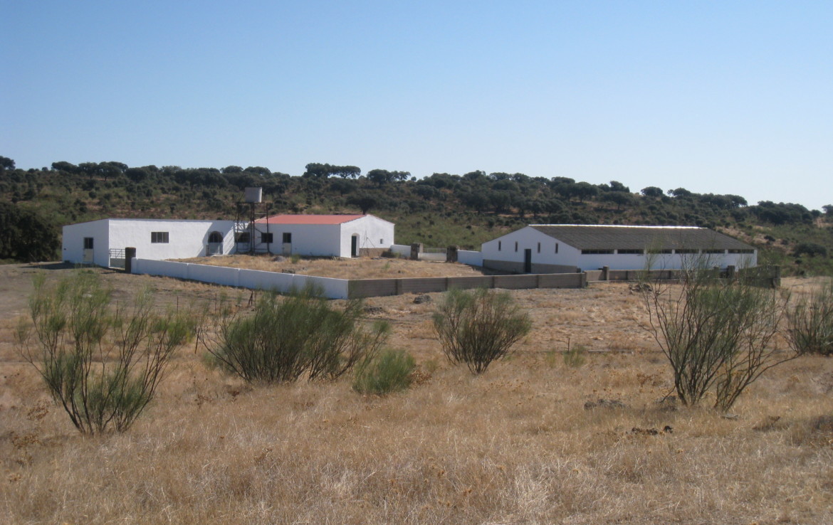 108 OPM Fincas Rústicas SurOEste 6 1170x738 - Finca cerca de 400 has a 25 km de Cáceres. Registro porcino, 1500m2 de naves, depósitos, molinos…Mucha agua
