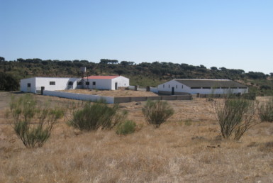 108 OPM Fincas Rústicas SurOEste 6 385x258 - Finca cerca de 400 has a 25 km de Cáceres. Registro porcino, 1500m2 de naves, depósitos, molinos…Mucha agua