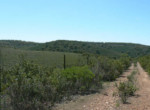 154 OPG, Fincas Rústicas SurOeste