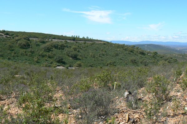 154 OPG Fincas Rústicas SurOeste 2 - Finca de 180 ha. de monte y caza, zona Santiago de Alcántara