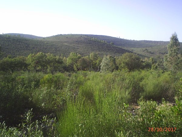 154 OPG Fincas Rústicas SurOeste 3 - Finca de 180 ha. de monte y caza, zona Santiago de Alcántara