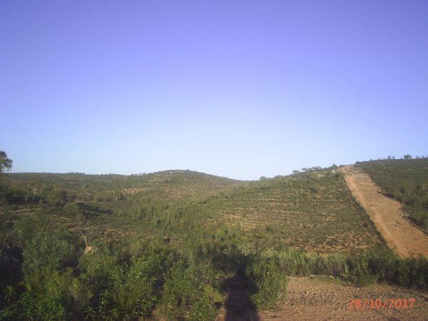 154 OPG Fincas Rústicas SurOeste 5 - Finca de 180 ha. de monte y caza, zona Santiago de Alcántara