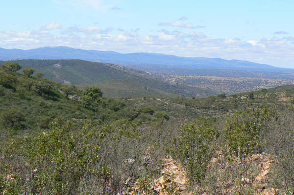 154 OPG Fincas Rústicas SurOeste 7 - Finca de 180 ha. de monte y caza, zona Santiago de Alcántara