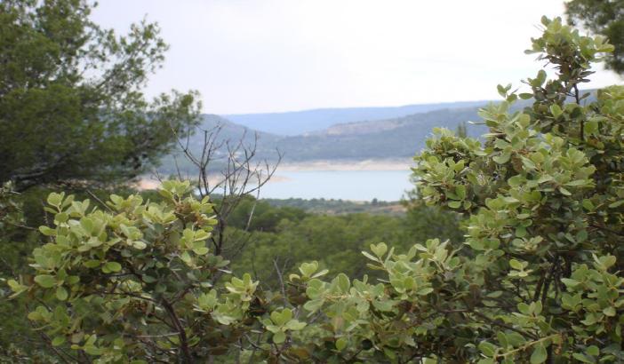 423 OPM Fincas Rústicas SurOeste - Finca de 150 has junto embalse de Entrepeñas (Guadalajara)