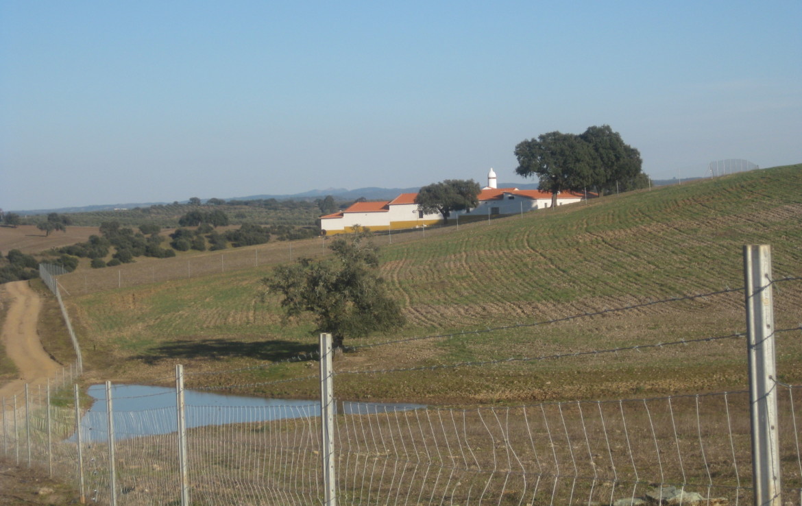 458 OPP Fincas Rústicas SurOeste 1 1170x738 - Finca de 50 has en Moura ( Portugal), 34 has de regadío y resto de encinado
