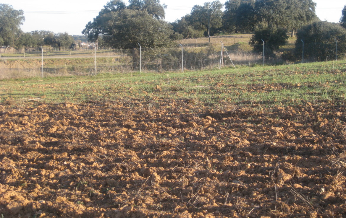 458 OPP Fincas Rústicas SurOeste 1170x738 - Finca de 50 has en Moura ( Portugal), 34 has de regadío y resto de encinado