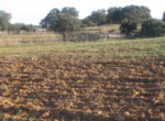 458 OPP, Fincas Rústicas SurOeste