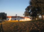 458 OPP, Fincas Rústicas SurOeste (3)