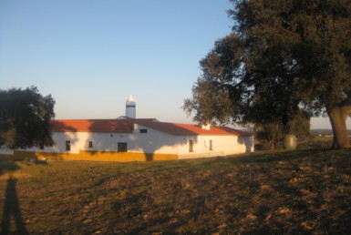 458 OPP Fincas Rústicas SurOeste 3 385x258 - Finca de 50 has en Moura ( Portugal), 34 has de regadío y resto de encinado