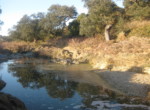 458 OPP, Fincas Rústicas SurOeste (4)