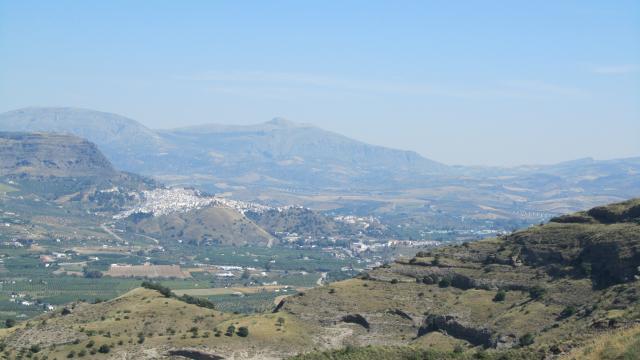 459 OPM Fincas Rústicas SurOeste 2 - Finca de 380 has en Pizarra (Málaga)