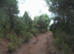 485 OPP, Fincas Rústicas SurOeste (1)