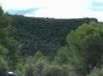 485 OPP, Fincas Rústicas SurOeste