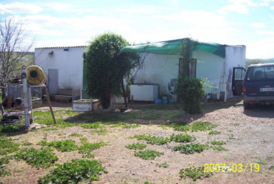 488 OPC Fincas Rústicas SurOeste 3 385x258 - Terreno rústico de 10.000 m2 en Mérida