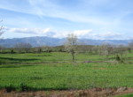 534 OPG, Fincas Rústicas SurOeste (3)