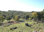 534 OPG, Fincas Rústicas SurOeste (4)