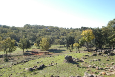 534 OPG Fincas Rústicas SurOeste 4 385x258 - Espectacular finca de recreo y caza en la Vera de Cáceres, 450 ha