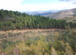591 OPP, Fincas Rústicas SurOeste (1)