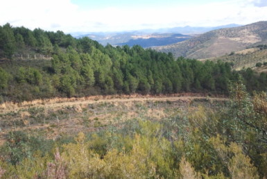 591 OPP Fincas Rústicas SurOeste 1 385x258 - Finca de caza y recreo de 55 hectáreas cerca de Guadalupe