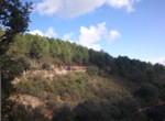 591 OPP, Fincas Rústicas SurOeste