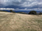 591 OPP, Fincas Rústicas SurOeste (3)