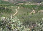 591 OPP, Fincas Rústicas SurOeste (5)