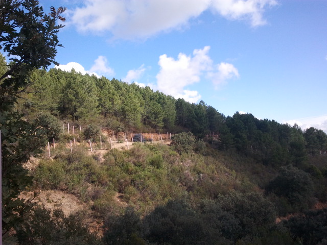 591 OPP Fincas Rústicas SurOeste - Finca de caza y recreo de 55 hectáreas cerca de Guadalupe