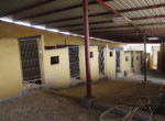 617 OPP, Fincas Rústicas SurOeste (3)