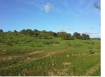 675 OPP, Fincas Rústicas SurOeste (6)