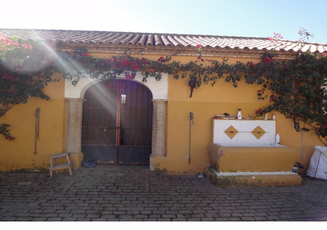 675 OPP Fincas Rústicas SurOeste - Finca de 70 has a 27 km de Sevilla, en Sierra Norte