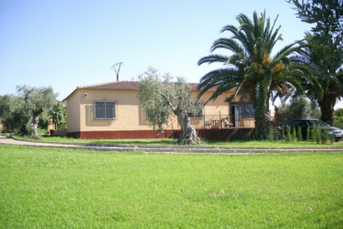 744 OPC Fincas Rústicas SurOeste 1 385x258 - Chalet en parcela de 2.000 m2 en la falda de la Sierra de Arroyo, con vivienda amueblada de 130 m2 con 5 dormitorios