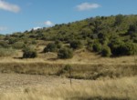 756 OPP, Fincas Rústicas SurOeste (2)