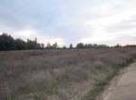 757 OPP, Fincas Rústicas SurOeste (1)