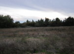 757 OPP, Fincas Rústicas SurOeste