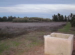 757 OPP, Fincas Rústicas SurOeste (2)
