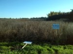 757 OPP, Fincas Rústicas SurOeste (3)
