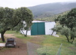865 OPP, Fincas Rústicas SurOeste (3)