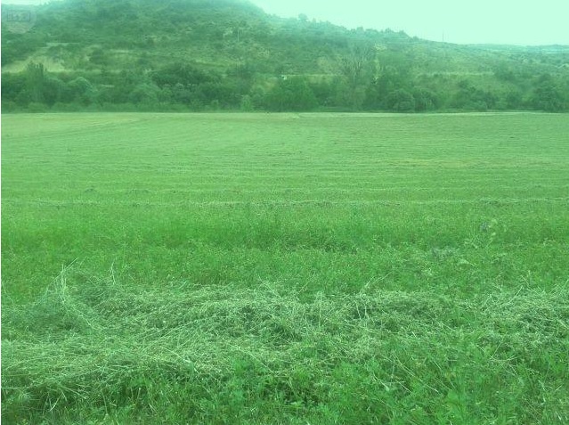 1044 OPG Fincas Rústicas SurOeste - Finca de 225 hectáreas en Navarra, 100 has de pradera cultivables. Mucha agua, naves e instalaciones