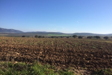 749 OPM Fincas R&uacute;sticas SurOeste 1 385x258 - Venta de fincas r&uacute;sticas grandes