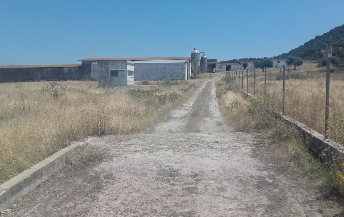 1060 OPP Fincas Rústicas SurOEste 1 1170x738 - Finca de 5.2 hectáreas con instalaciones para granja de cochinos, a 10 minutos de Mérida