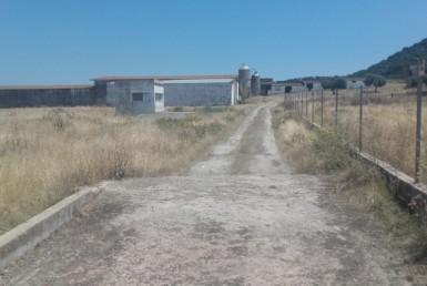 1060 OPP Fincas Rústicas SurOEste 1 385x258 - Finca de 5.2 hectáreas con instalaciones para granja de cochinos, a 10 minutos de Mérida