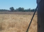 1060 OPP, Fincas Rústicas SurOEste (3)