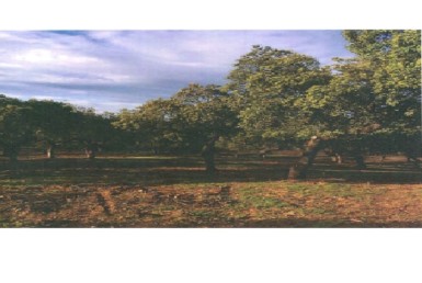 3 385x258 - Venta de fincas r&uacute;sticas grandes