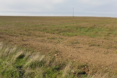 1063 OPP Fincas Rústicas SurOEste 2 385x258 - Finca de 25 hectáreas de labor en Usagre (Badajoz)
